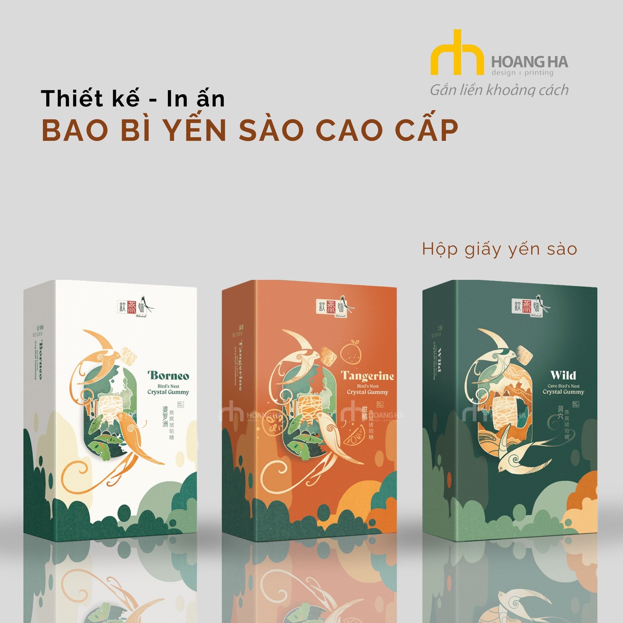 Những mẫu thiết kế bao bì hộp yến sào đẹp, sang trọng